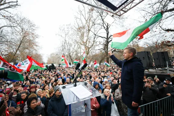 Magyar Péter új felmérés