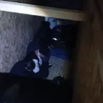 Illegális migránsok