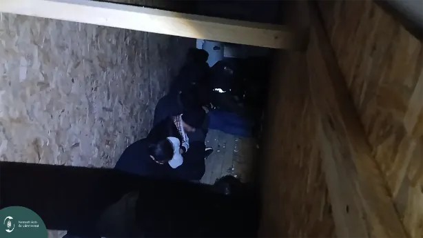 Illegális migránsok