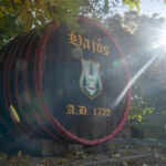 BORUM 2026: Hajós és Császártöltés lesz az idei helyszín