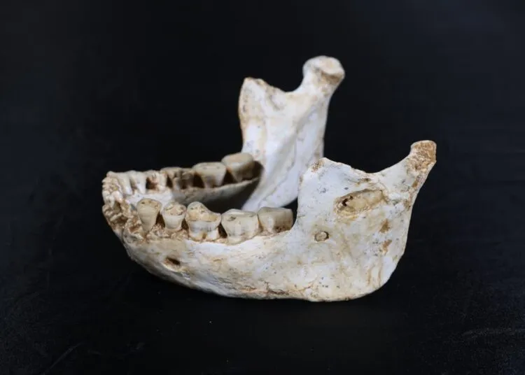 casblanca régészeti lelet marokkó