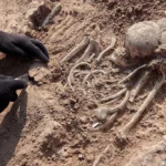 Homo habilis csontváz felfedezés