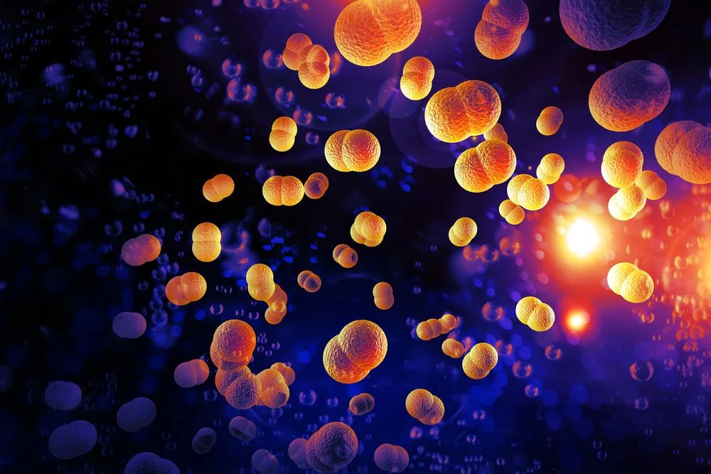 eukarióták eredete - egysejtűek