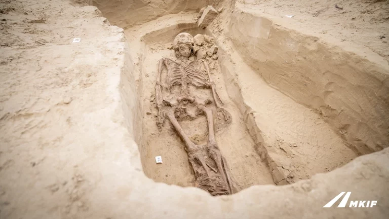 Árpád-kori település M1 autópálya felújítás MKIF