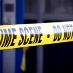 bűntény brutális gyilkosság Budapest vietnámi férfi