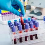 magyar nyelv szibéria harvard