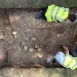 Viking tömegsír koponya régészet