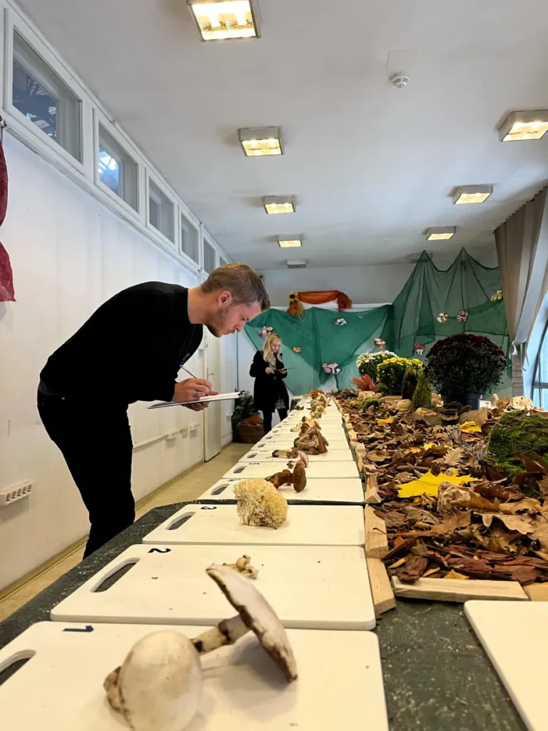 Gombafelismerési verseny a Nagyvásárcsarnokban