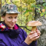 Rákosi és a gombák gomba