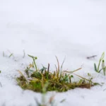 időjárás havazás hó tavasz eső szél