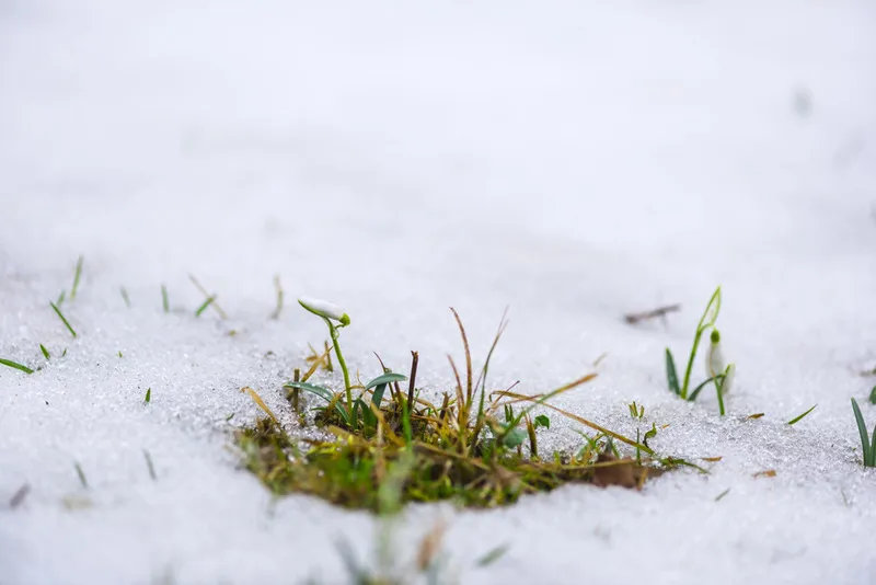 időjárás havazás hó tavasz eső szél