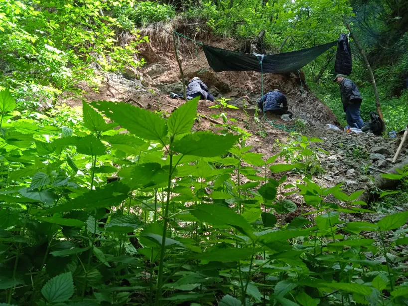 Magyar kutatók új dinoszauruszfajt azonosítottak