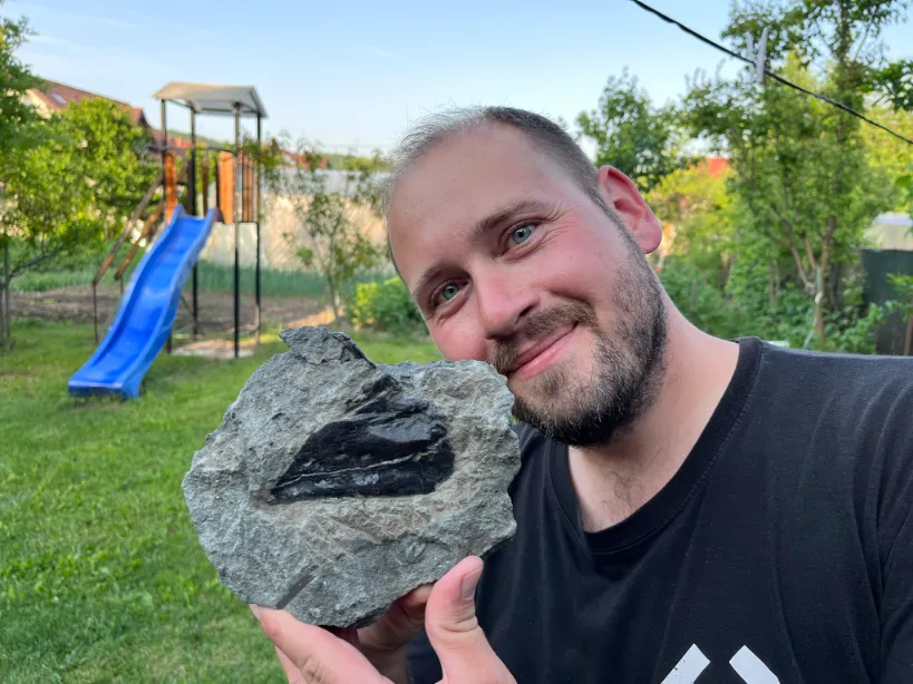 Magyar kutatók új dinoszauruszfajt azonosítottak