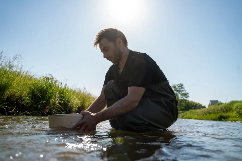 Magyar kutatók új dinoszauruszfajt azonosítottak