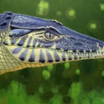 Szárazföldi krokodil