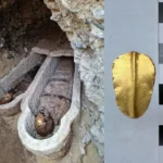 egyiptomi múmia papirusz lelet