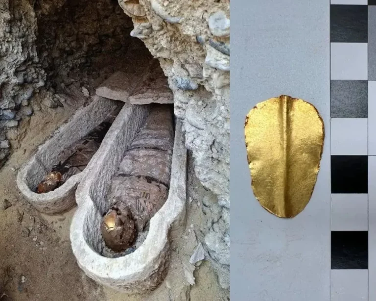 egyiptomi múmia papirusz lelet