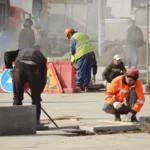 Vendégmunkások alkalmazása Tisza-kormány