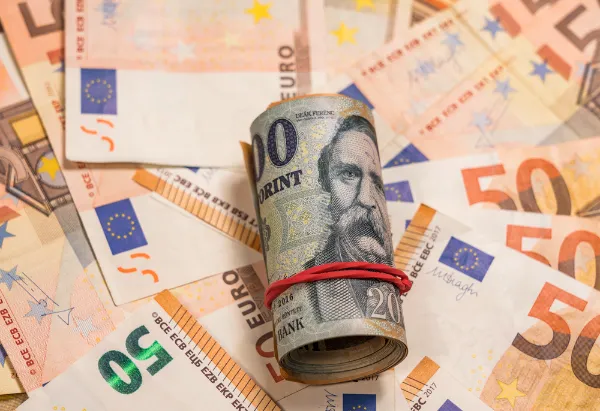Forint euró devizaváltás