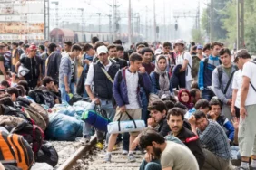 Határellenőrzés és migránspaktum