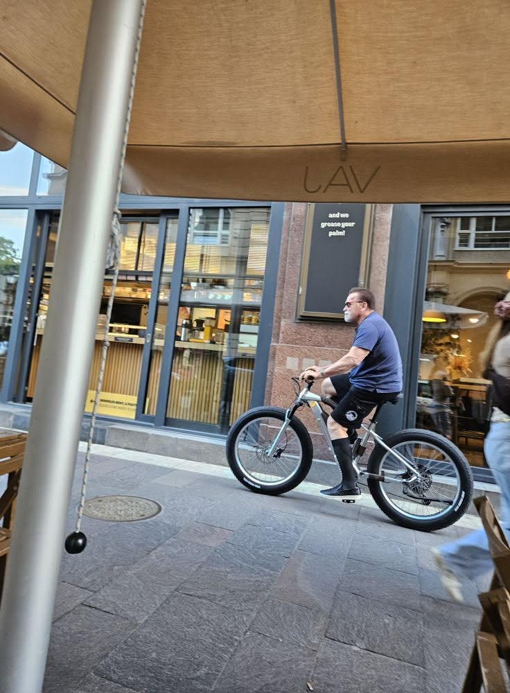 Schwarzenegger Budapesten