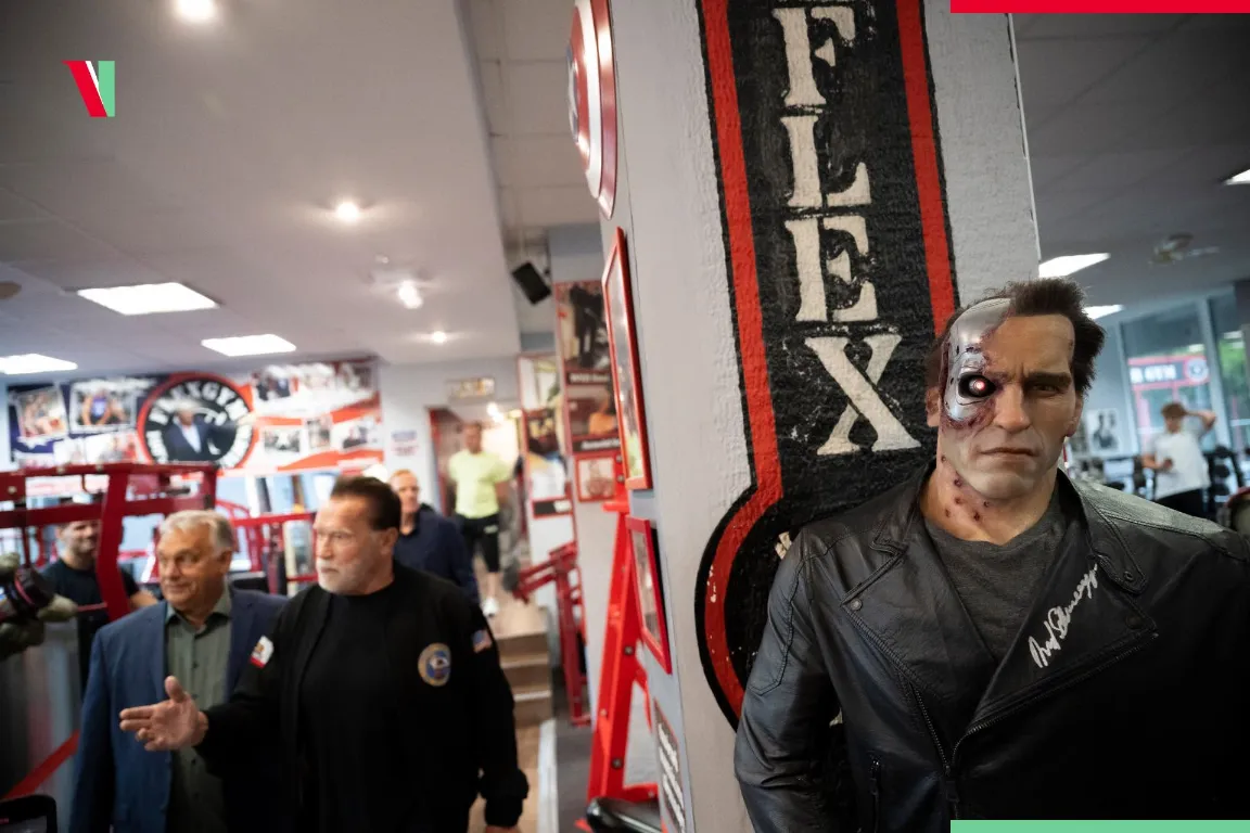 Schwarzenegger a Flex Gymben