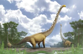 Thaiföld hosszú nyakú dinoszaurusz sauropoda