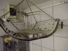 Rovartetemek, álló víz a padlón, lejárt élelmiszerek egy gyrosüzemben Budapesten