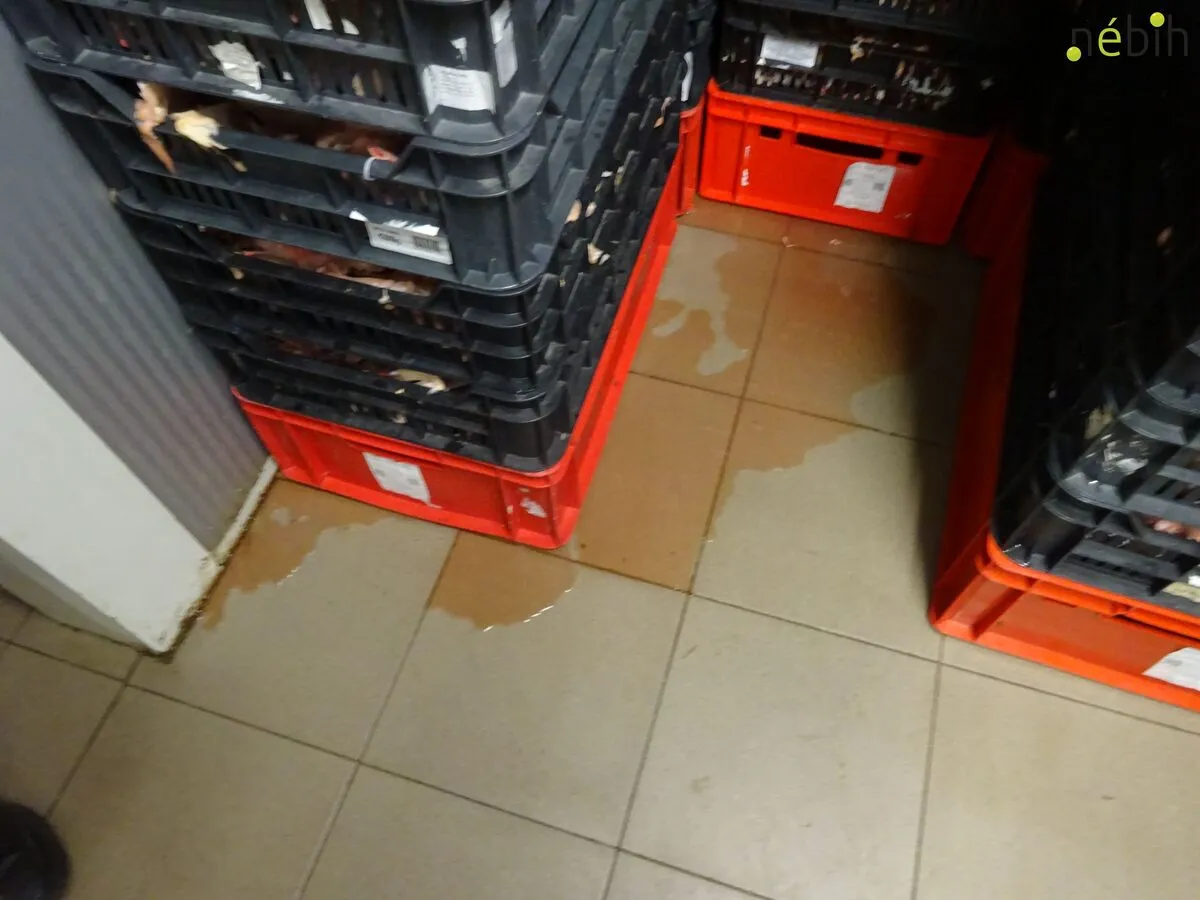 Rovartetemek, álló víz a padlón, lejárt élelmiszerek egy gyrosüzemben Budapesten