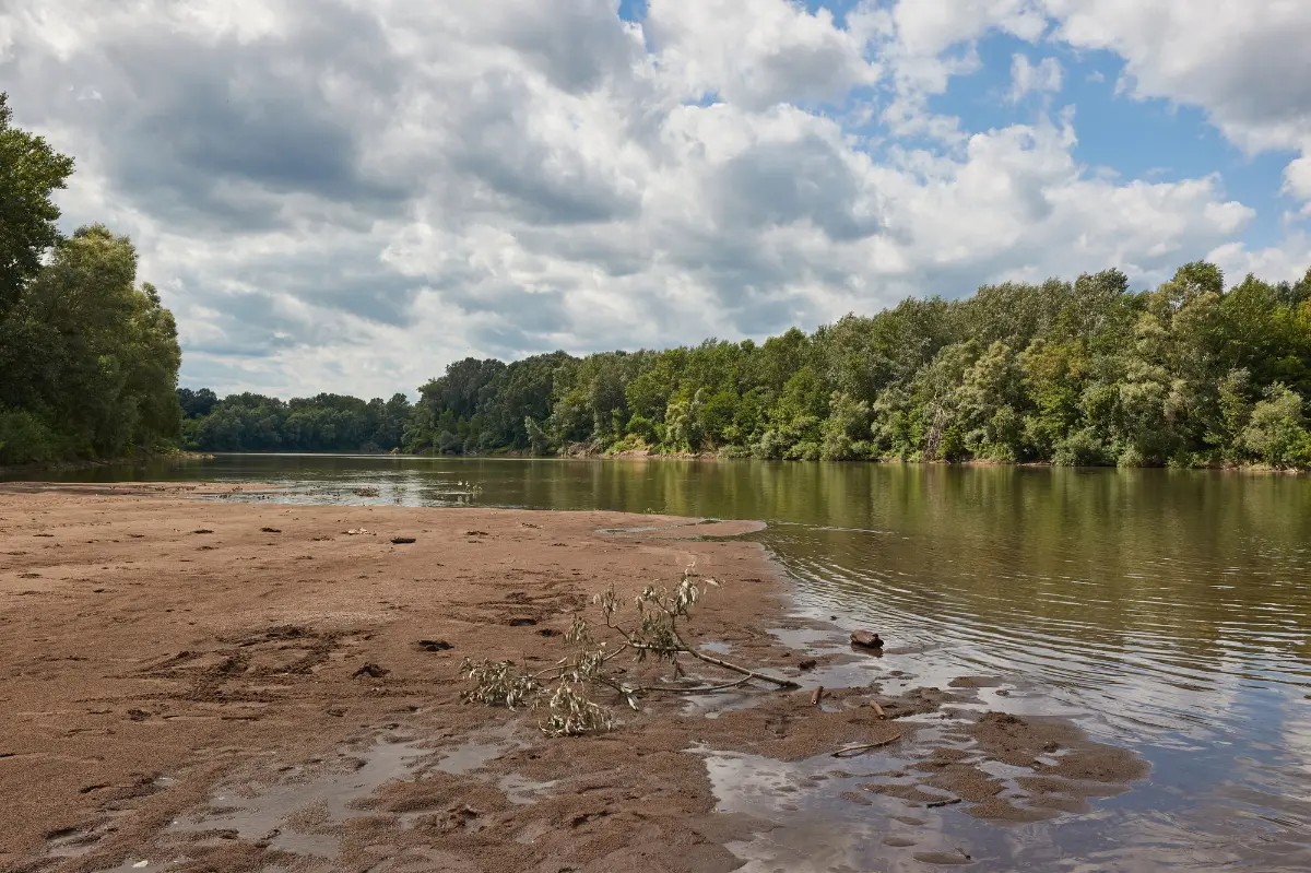 Tisza folyó aszály