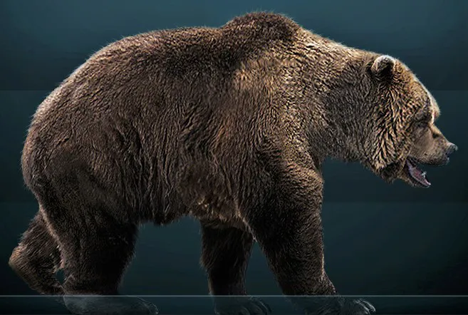 ursus spelaeus barlangi medve tisza folyó meder medréből