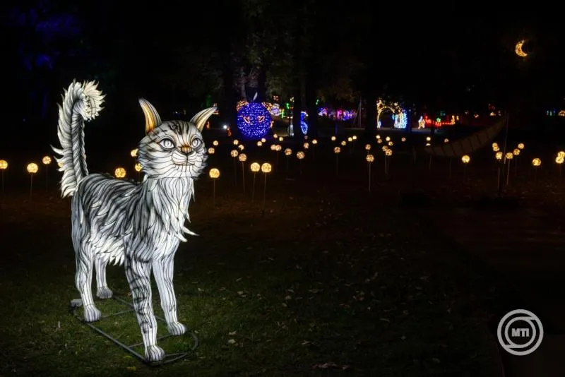 Lumina Park