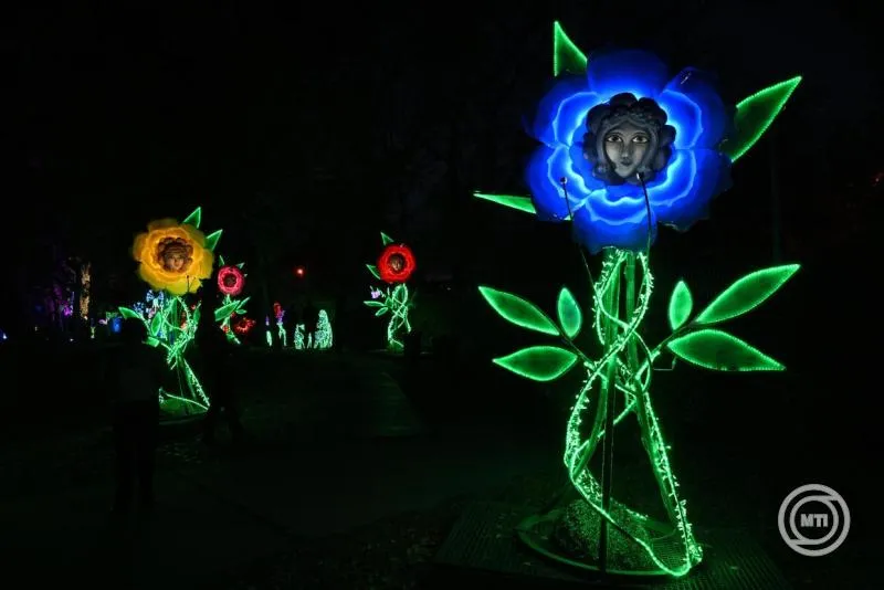 Lumina Park