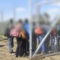 menekült visszakényszerítés kiutasított afgán diák